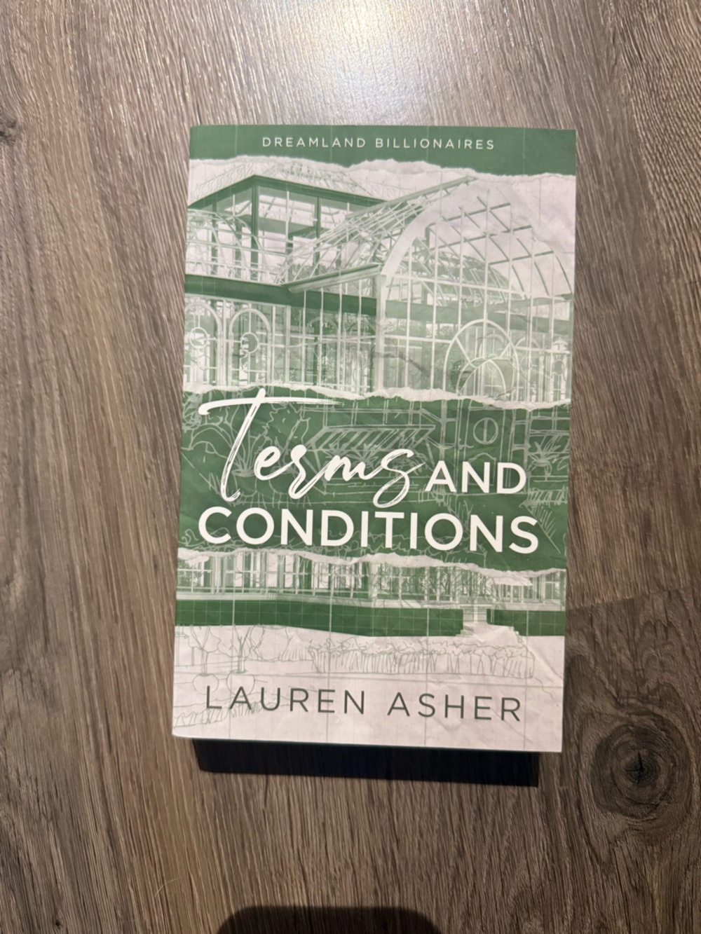 💛 3 for $15 💛 Terms and Conditions by Lauren Asher